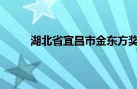 湖北省宜昌市金东方奖学金基金会相关内容简介