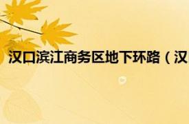 汉口滨江商务区地下环路（汉口滨江商务区相关内容简介介绍）