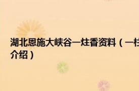 湖北恩施大峡谷一炷香资料（一柱香 湖北省恩施市旅游景点相关内容简介介绍）