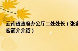 云南省政府办公厅二处处长（张含 云南省委办公厅信息一处副处长相关内容简介介绍）