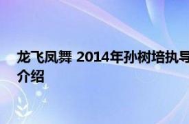 龙飞凤舞 2014年孙树培执导台湾民视古装电视剧相关内容简介介绍