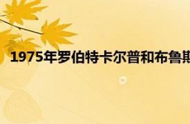 1975年罗伯特卡尔普和布鲁斯贝克林主演的电影相关内容简介