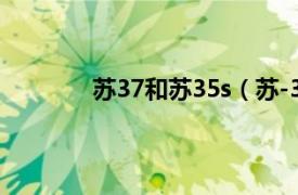 苏37和苏35s（苏-35S相关内容简介介绍）