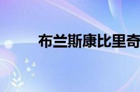 布兰斯康比里奇蒙德相关内容介绍