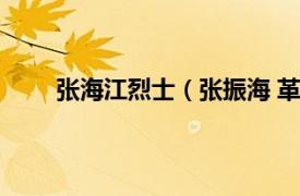 张海江烈士（张振海 革命烈士相关内容简介介绍）