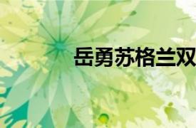 岳勇苏格兰双耳杯托内容简介