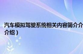 汽车模拟驾驶系统相关内容简介介绍视频（汽车模拟驾驶系统相关内容简介介绍）