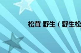 松茸 野生（野生松茸相关内容简介介绍）