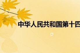 中华人民共和国第十四届运动会武术散打资格赛