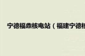 宁德福鼎核电站（福建宁德核电有限公司相关内容简介介绍）