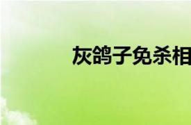 灰鸽子免杀相关内容简介介绍