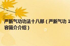 严新气功功法十八部（严新气功 1990年人民体育出版社出版的图书相关内容简介介绍）