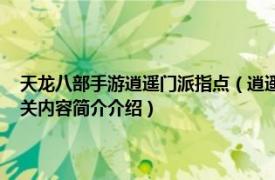 天龙八部手游逍遥门派指点（逍遥 游戏《天龙八部手游》中的门派职业相关内容简介介绍）