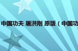 中国功夫 屠洪刚 原版（中国功夫 屠洪刚专辑相关内容简介介绍）