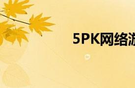 5PK网络游戏平台介绍