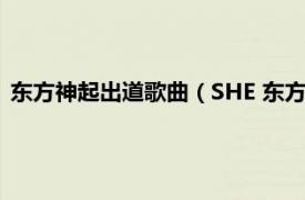 东方神起出道歌曲（SHE 东方神起演唱歌曲相关内容简介介绍）