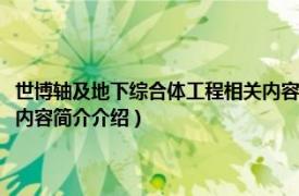 世博轴及地下综合体工程相关内容简介介绍（世博轴及地下综合体工程相关内容简介介绍）