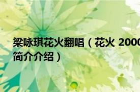 梁咏琪花火翻唱（花火 2000年梁咏琪发行的音乐专辑相关内容简介介绍）