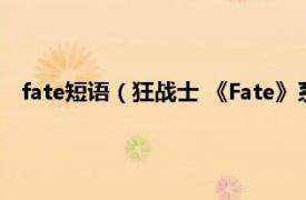 fate短语（狂战士 《Fate》系列中的用语相关内容简介介绍）