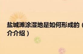 盐城滩涂湿地是如何形成的（江苏盐城沿海滩涂湿地相关内容简介介绍）