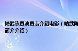 精武陈真演员表介绍电影（精武陈真 2008年蔡晶盛执导的电视剧相关内容简介介绍）