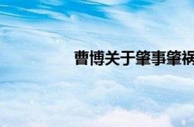 曹博关于肇事肇祸罪犯的相关内容简介