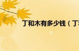 丁和木有多少钱（丁和木相关内容简介介绍）