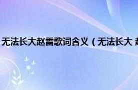 无法长大赵雷歌词含义（无法长大 赵雷第三张音乐专辑相关内容简介介绍）