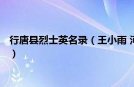 行唐县烈士英名录（王小雨 河北省行唐籍烈士相关内容简介介绍）