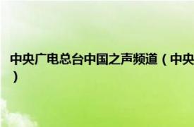 中央广电总台中国之声频道（中央广播电视总台中国之声相关内容简介介绍）