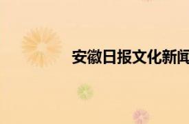 安徽日报文化新闻中心朱记者内容介绍