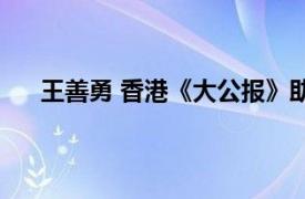 王善勇 香港《大公报》助理总编辑相关内容简介介绍