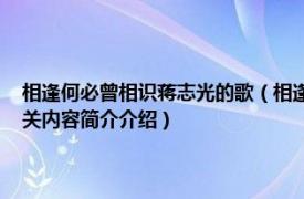 相逢何必曾相识蒋志光的歌（相逢何必曾相识 蒋志光和韦绮珊合唱歌曲相关内容简介介绍）