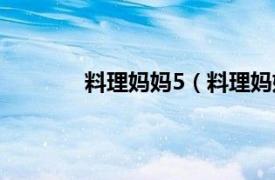 料理妈妈5（料理妈妈4相关内容简介介绍）