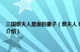 三国蔡夫人是谁的妻子（蔡夫人 东汉末年荆州牧刘表的后妻相关内容简介介绍）