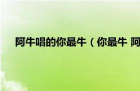 阿牛唱的你最牛（你最牛 阿牛演唱歌曲相关内容简介介绍）