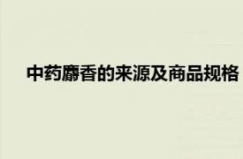 中药麝香的来源及商品规格（麝香 中药相关内容简介介绍）