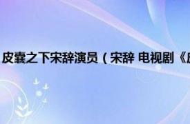 皮囊之下宋辞演员（宋辞 电视剧《皮囊之下》中的角色相关内容简介介绍）