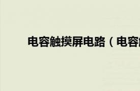 电容触摸屏电路（电容触摸板相关内容简介介绍）