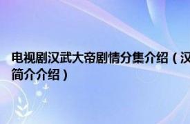 电视剧汉武大帝剧情分集介绍（汉武大帝 2005年胡玫执导电视剧相关内容简介介绍）