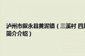 泸州市叙永县黄泥镇（三溪村 四川省泸州市叙永县黄坭镇下辖村相关内容简介介绍）