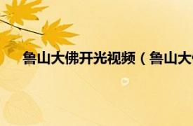 鲁山大佛开光视频（鲁山大佛开光大典相关内容简介介绍）