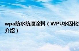 wpa防水防腐涂料（WPU水固化彩色环保型聚氨酯防水涂料相关内容简介介绍）