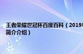 王者荣耀世冠杯百度百科（2019年王者荣耀世界冠军杯世冠正赛相关内容简介介绍）