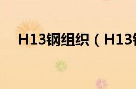 H13钢组织（H13钢相关内容简介介绍）