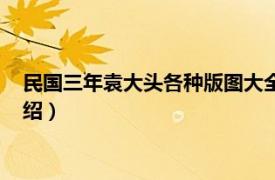 民国三年袁大头各种版图大全（民国三年袁大头相关内容简介介绍）