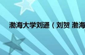 渤海大学刘通（刘贺 渤海大学教授相关内容简介介绍）