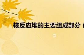 核反应堆的主要组成部分（核反应堆相关内容简介介绍）