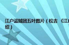 江户盗贼团五叶图片（松吉 《江户盗贼团五叶》人物之一相关内容简介介绍）