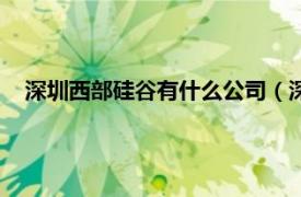 深圳西部硅谷有什么公司（深圳西部硅谷相关内容简介介绍）